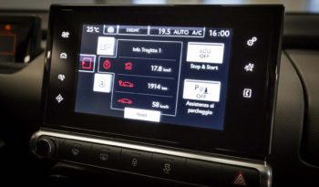 Citroen Interni C4 Cactus Bluehdi 100 CV Shine Grigio Shark