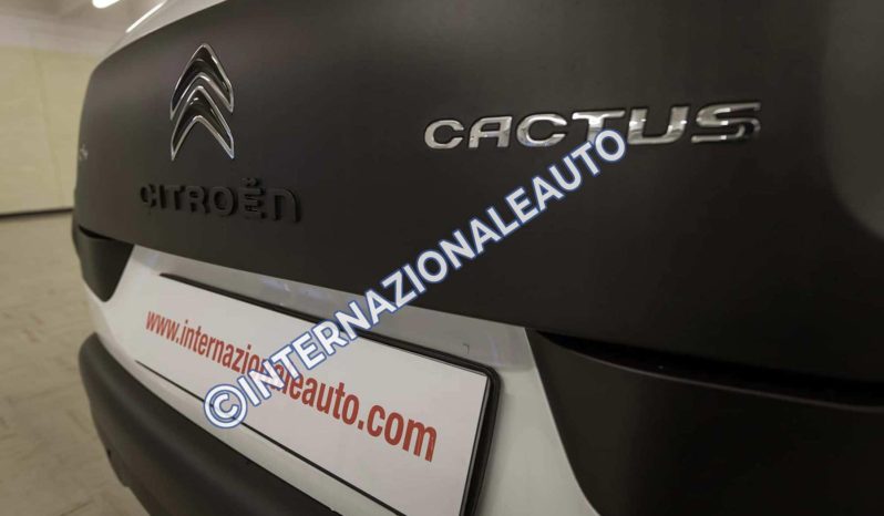 Citroen Interni C4 Cactus Bluehdi 100 Feel Bianco km0