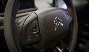 Citroen Interni C4 Cactus Feel Grigio Alluminio Km0 Volante