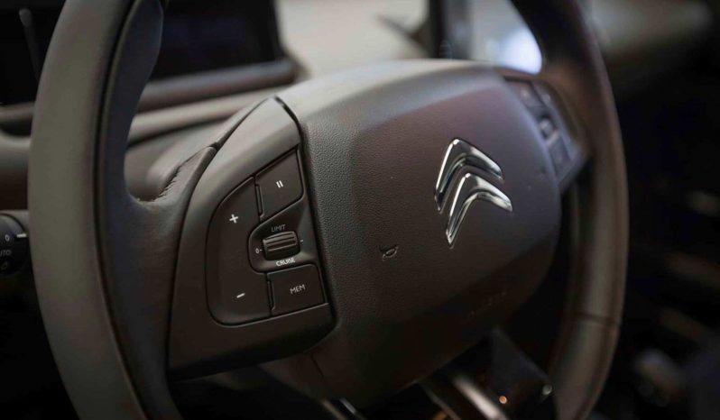 Citroen Interni C4 Cactus Feel Grigio Alluminio Km0 Volante