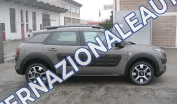 Citroen C4 Cactus Bluehdi-100 Feel Edition Olive Brown km0