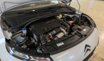 Citroen Interni C4 Cactus Shine Bianca Habana Km0 Cofano
