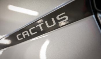 Citroen Interni C4 Cactus Shine Cumulus Grey Keyless Logo