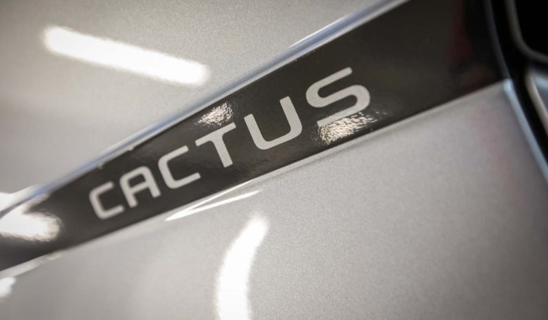 Citroen Interni C4 Cactus Shine Cumulus Grey Keyless Logo