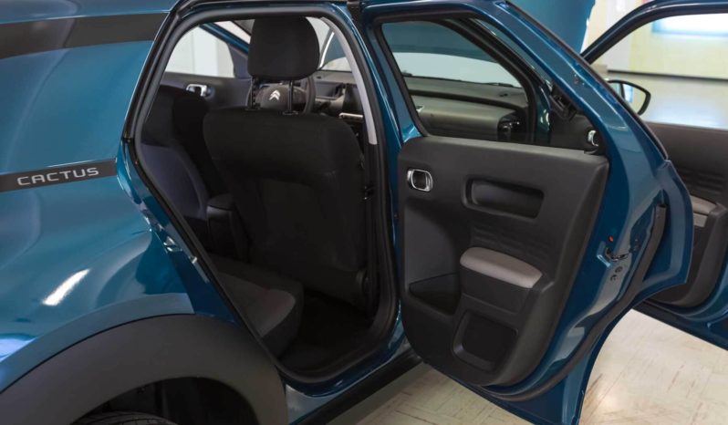 Citroen Interni C4 Cactus Feel Emerald Blue Usata Porta